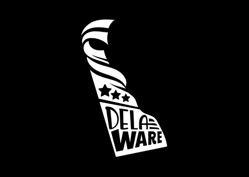 Delaware Stars & Stripes Vinyl Decal | White | MADE IN USA by Foxtail Decals | For Car Windows, Tablets, Laptops, Water Bottles, etc. | 2.8 x 4.5 inch