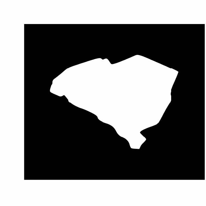 South Carolina Vinyl Decal | White | Made in USA by Foxtail Decals | for Car Windows, Tablets, Laptops, Water Bottles, etc. | 4.5 x 3.3 inch…