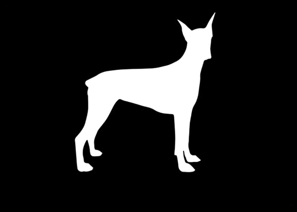 Doberman Side Vinyl Decal | White | MADE IN USA by Foxtail Decals | For Car Windows, Tablets, Laptops, Water Bottles, etc. | 4.0 x 4.0 inch