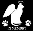 In Memory Cat Vinyl Decal | White | Made in USA by Foxtail Decals | for Car Windows, Tablets, Laptops, Water Bottles, etc. | 4.75 x 4.6 inch