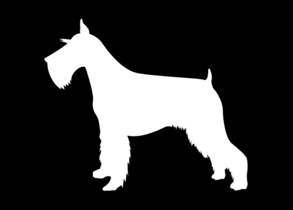 Schnauzer Vinyl Decal | White | Made in USA by Foxtail Decals | for Car Windows, Tablets, Laptops, Water Bottles, etc. | 4.5 x 3.8 inch