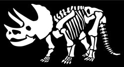 Triceratops Skeleton Vinyl Decal | White | Made in USA by Foxtail Decals | for Car Windows, Tablets, Laptops, Water Bottles, etc. | 5.5 x 2.9 inch