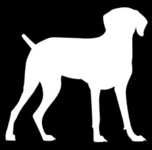 Weimaraner Standing Vinyl Decal | White | Made in USA by Foxtail Decals | for Car Windows, Tablets, Laptops, Water Bottles, etc. | 4.5 x 4.3 inch