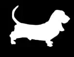 Basset Hound Side Vinyl Decal | White | 4.5 x 3.0 inch