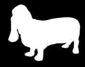 Basset Hound Looking Forward Vinyl Decal | White | 4.5 x 3.5 inch